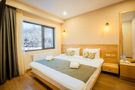 Bakuriani Inn - 45