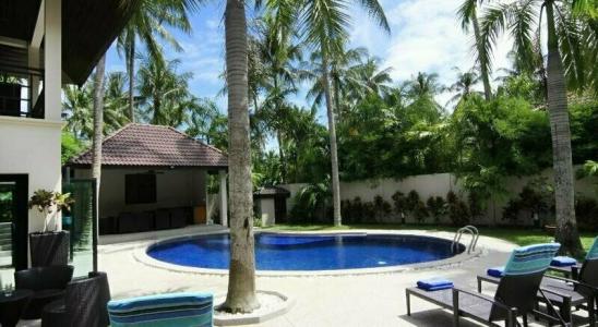 ViVi Resort & SPA - 10