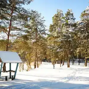 Recreation center SelyavaTur - 58