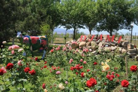 Гостиничный комплекс Джами - 26