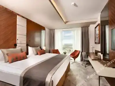 Ankara Alegria Business - 4