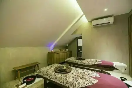 ARTOTEL Haniman Ubud - 24