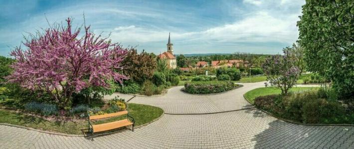 Kolping Spa & Family Resort - 45