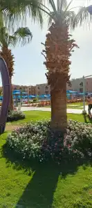 Pickalbatros Aqua Vista Resort - - 8