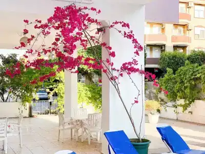 Bella Rose Apart, - 26