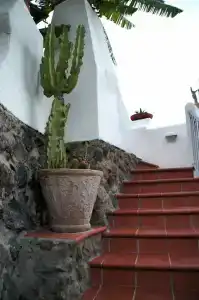 Don Pedro - 11