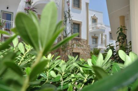 Siesta Beach & Apart - 41