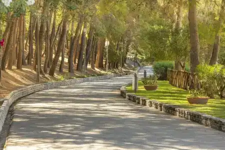Pugnochiuso Resort - Degli Ulivi - 6