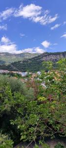 Dubrava - 34