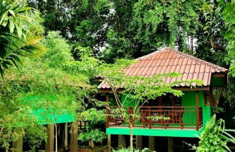 Khao Sok River Lodge - 38