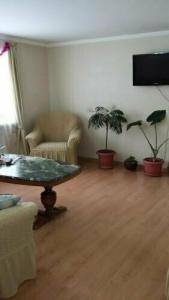 Guest House Green Rose - 14