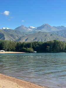 Zaton Guesthouse - 4