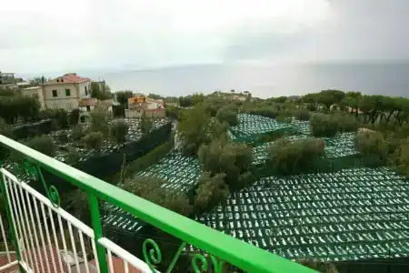 Il Nido Sorrento - 23
