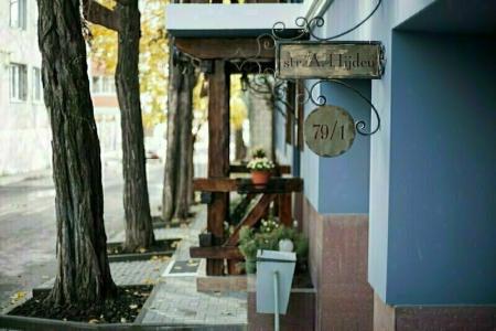 Art Rustic - 12
