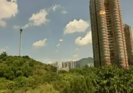 Hongbo - 12