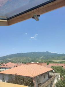 Aragvi - 34
