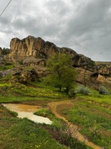 Aragvi - 12