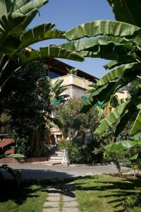 Baia Delle Sirene - 30