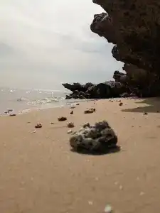 Xperience Golden Sandy Beach - 7