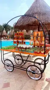 Siva Grand Beach - 4