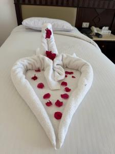 Falcon Naama Star - 29