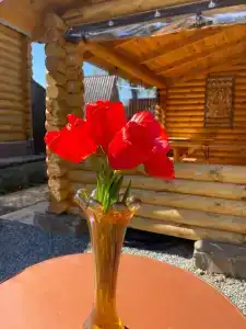 Drova Tourist base - 77