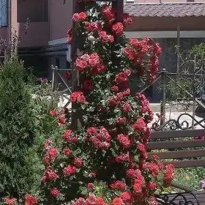 Villa Venetsiya - 34