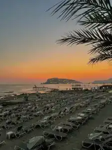 Bella Rose Apart, - 14