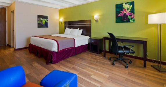 Best Western Orlando West - 6