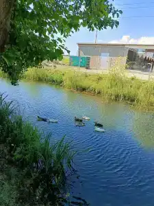 Yazon Tourist base - 39