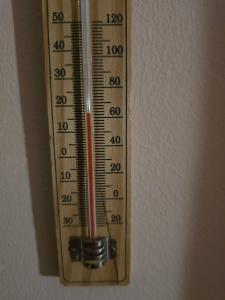 Smart KDO Kaliningrad - 81