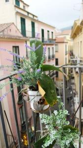 B&B Katerine - 19