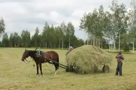 Alexandrovskaya Sloboda - 3