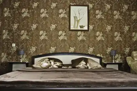 Hotel-Club Poseidon - 24