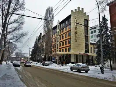 Bogemia on Vavilova Street - 16