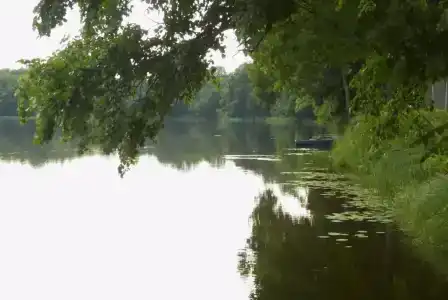 Zhemchuzhina Zolotogo Koltsa - 13