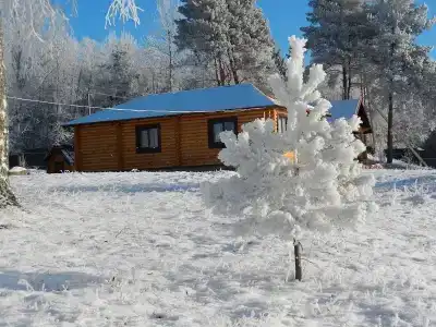 Prohovskoe Podvorie Tourist base - 7