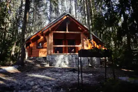 Zelenyy gorodok - 12