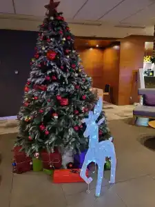 MERCURE Роза Хутор - 46