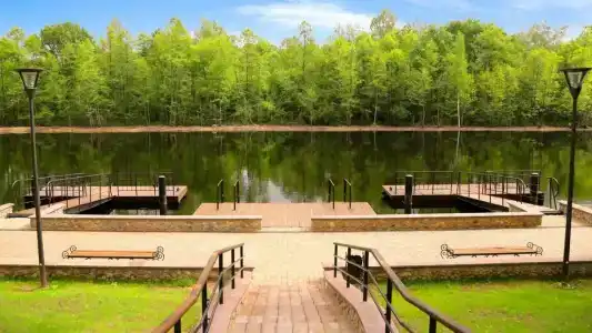 Berezinskaya Dubrava - 12