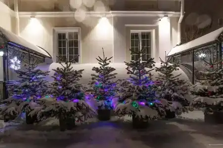Арт-отель Александровский - 6