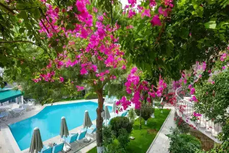 Moonshine & Suites - 11