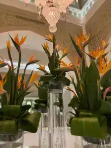 Steigenberger Alcazar - 37