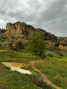Aragvi - 23