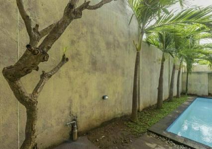 Graha Wedha Suite Kuta - 35