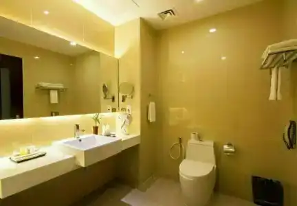 Dara Airport City & Spa - 44