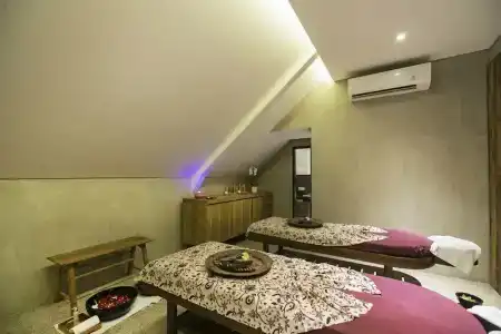 ARTOTEL Haniman Ubud - 46