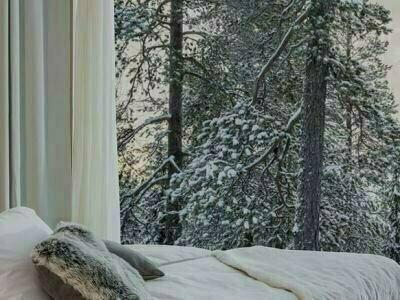 Arctic TreeHouse - 34