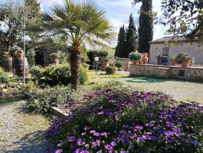 Rocca degli Olivi - 11