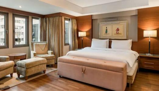 Radisson Blu Bosphorus, Istanbul - 9